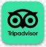 TripAdvisor logo