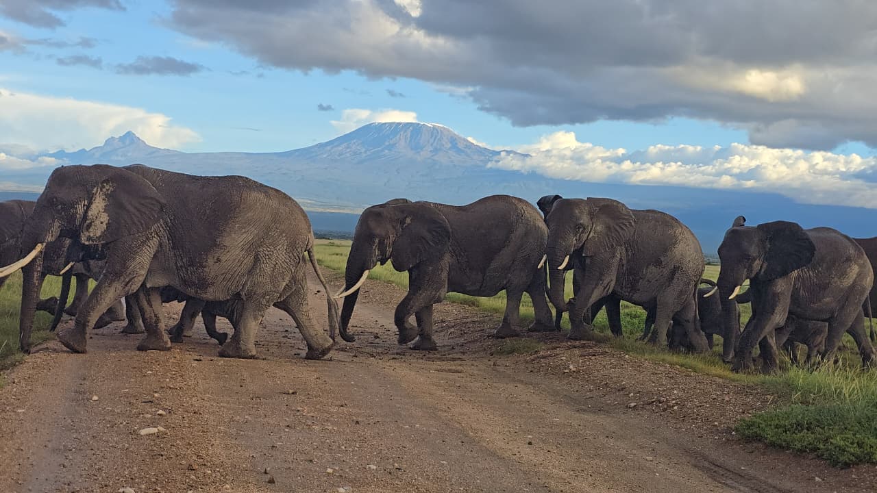 KENYA