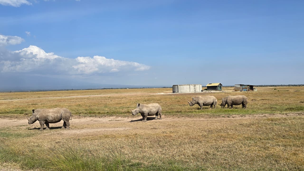 4-Day Ol Pejeta & Samburu Safari: Rhinos,Chimpanzee, Big Five & Samburu Special Five