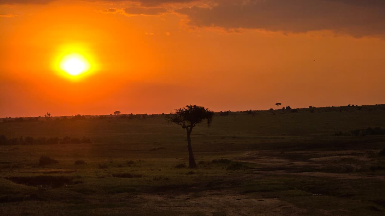 5-Day Luxury Serengeti Fly-In Safari at Meliá Lodges