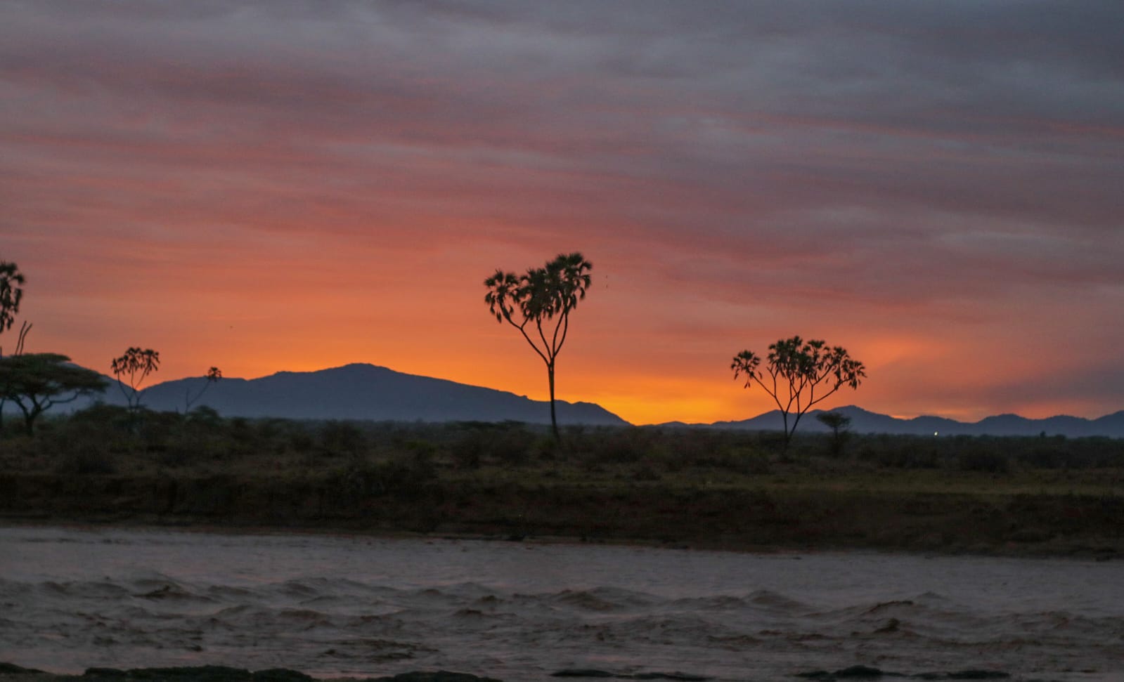 Samburu National Reserve: Where Kenya Feels Wild